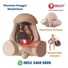 Phantom Pelvic Manikin MOTHER IN DELIVERY Pelvic Delivery and Baby Manikin Silicon Material 4