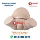 Phantom Pelvic Manikin MOTHER IN DELIVERY Pelvic Delivery and Baby Manikin Silicon Material 3