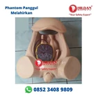 Phantom Pelvic Manikin MOTHER IN DELIVERY Pelvic Delivery and Baby Manikin Silicon Material 1