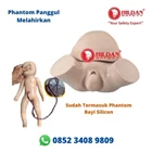 Phantom Pelvic Manikin MOTHER IN DELIVERY Pelvic Delivery and Baby Manikin Silicon Material 2