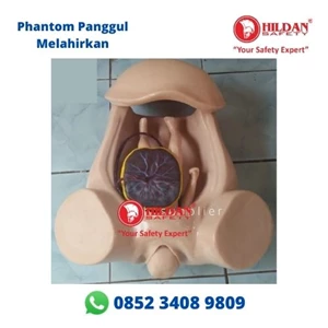 Phantom Manikin PANGGUL IBU MELAHIRKAN Panggul Persalinan dan Manikin Bayi Bahan Silicon