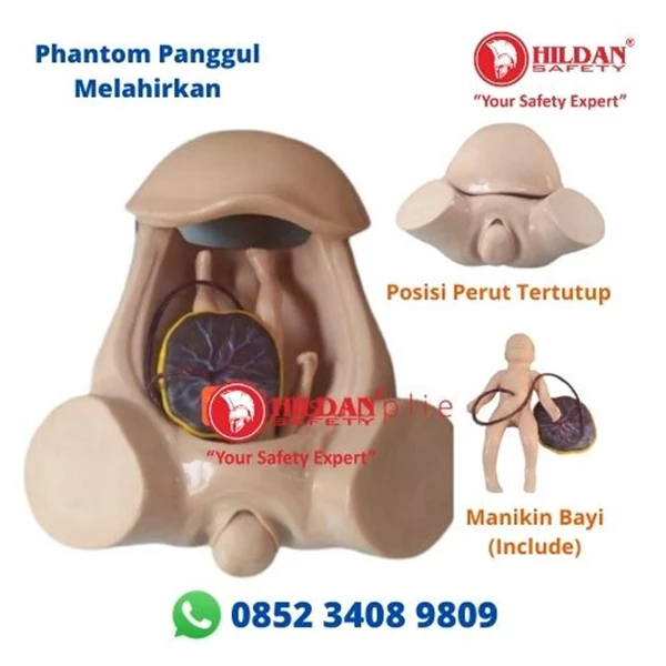 Phantom Pelvic Manikin MOTHER IN DELIVERY Pelvic Delivery and Baby Manikin Silicon Material