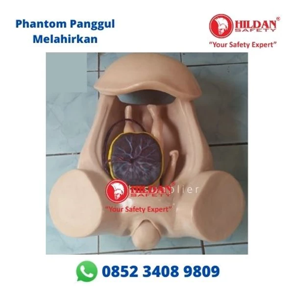 Phantom Pelvic Manikin MOTHER IN DELIVERY Pelvic Delivery and Baby Manikin Silicon Material