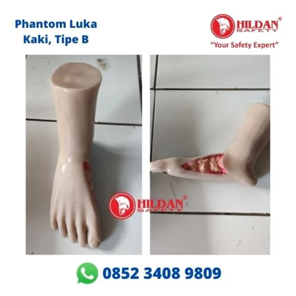 Phantom Manikin Educational Teaching Aid MODEL FOOT Wound