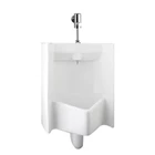  TOTO Urinal Flush Valves  UW447JNM 2